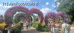 [P13] MIRACLE GARDEN - o grădină ruptă din Rai! » foto by elenaadina
 - 
<span class="allrVoted glyphicon glyphicon-heart hidden" id="av1415080"></span>
<a class="m-l-10 hidden" id="sv1415080" onclick="voting_Foto_DelVot(,1415080,28974)" role="button">șterge vot <span class="glyphicon glyphicon-remove"></span></a>
<a id="v91415080" class=" c-red"  onclick="voting_Foto_SetVot(1415080)" role="button"><span class="glyphicon glyphicon-heart-empty"></span> <b>LIKE</b> = Votează poza</a> <img class="hidden"  id="f1415080W9" src="/imagini/loader.gif" border="0" /><span class="AjErrMes hidden" id="e1415080ErM"></span>