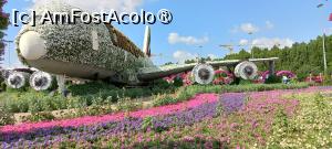 [P14] MIRACLE GARDEN - o grădină ruptă din Rai! » foto by elenaadina
 - 
<span class="allrVoted glyphicon glyphicon-heart hidden" id="av1415081"></span>
<a class="m-l-10 hidden" id="sv1415081" onclick="voting_Foto_DelVot(,1415081,28974)" role="button">șterge vot <span class="glyphicon glyphicon-remove"></span></a>
<a id="v91415081" class=" c-red"  onclick="voting_Foto_SetVot(1415081)" role="button"><span class="glyphicon glyphicon-heart-empty"></span> <b>LIKE</b> = Votează poza</a> <img class="hidden"  id="f1415081W9" src="/imagini/loader.gif" border="0" /><span class="AjErrMes hidden" id="e1415081ErM"></span>