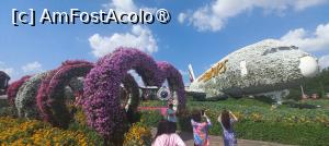 [P15] MIRACLE GARDEN - o grădină ruptă din Rai! » foto by elenaadina
 - 
<span class="allrVoted glyphicon glyphicon-heart hidden" id="av1415082"></span>
<a class="m-l-10 hidden" id="sv1415082" onclick="voting_Foto_DelVot(,1415082,28974)" role="button">șterge vot <span class="glyphicon glyphicon-remove"></span></a>
<a id="v91415082" class=" c-red"  onclick="voting_Foto_SetVot(1415082)" role="button"><span class="glyphicon glyphicon-heart-empty"></span> <b>LIKE</b> = Votează poza</a> <img class="hidden"  id="f1415082W9" src="/imagini/loader.gif" border="0" /><span class="AjErrMes hidden" id="e1415082ErM"></span>