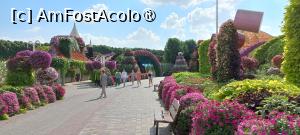 [P26] MIRACLE GARDEN - o grădină ruptă din Rai! » foto by elenaadina
 - 
<span class="allrVoted glyphicon glyphicon-heart hidden" id="av1415093"></span>
<a class="m-l-10 hidden" id="sv1415093" onclick="voting_Foto_DelVot(,1415093,28974)" role="button">șterge vot <span class="glyphicon glyphicon-remove"></span></a>
<a id="v91415093" class=" c-red"  onclick="voting_Foto_SetVot(1415093)" role="button"><span class="glyphicon glyphicon-heart-empty"></span> <b>LIKE</b> = Votează poza</a> <img class="hidden"  id="f1415093W9" src="/imagini/loader.gif" border="0" /><span class="AjErrMes hidden" id="e1415093ErM"></span>