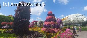 [P27] MIRACLE GARDEN - o grădină ruptă din Rai! » foto by elenaadina
 - 
<span class="allrVoted glyphicon glyphicon-heart hidden" id="av1415094"></span>
<a class="m-l-10 hidden" id="sv1415094" onclick="voting_Foto_DelVot(,1415094,28974)" role="button">șterge vot <span class="glyphicon glyphicon-remove"></span></a>
<a id="v91415094" class=" c-red"  onclick="voting_Foto_SetVot(1415094)" role="button"><span class="glyphicon glyphicon-heart-empty"></span> <b>LIKE</b> = Votează poza</a> <img class="hidden"  id="f1415094W9" src="/imagini/loader.gif" border="0" /><span class="AjErrMes hidden" id="e1415094ErM"></span>