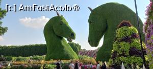 [P03] MIRACLE GARDEN - o grădină ruptă din Rai! » foto by elenaadina
 - 
<span class="allrVoted glyphicon glyphicon-heart hidden" id="av1415070"></span>
<a class="m-l-10 hidden" id="sv1415070" onclick="voting_Foto_DelVot(,1415070,28974)" role="button">șterge vot <span class="glyphicon glyphicon-remove"></span></a>
<a id="v91415070" class=" c-red"  onclick="voting_Foto_SetVot(1415070)" role="button"><span class="glyphicon glyphicon-heart-empty"></span> <b>LIKE</b> = Votează poza</a> <img class="hidden"  id="f1415070W9" src="/imagini/loader.gif" border="0" /><span class="AjErrMes hidden" id="e1415070ErM"></span>