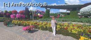 [P33] MIRACLE GARDEN - o grădină ruptă din Rai! » foto by elenaadina
 - 
<span class="allrVoted glyphicon glyphicon-heart hidden" id="av1415100"></span>
<a class="m-l-10 hidden" id="sv1415100" onclick="voting_Foto_DelVot(,1415100,28974)" role="button">șterge vot <span class="glyphicon glyphicon-remove"></span></a>
<a id="v91415100" class=" c-red"  onclick="voting_Foto_SetVot(1415100)" role="button"><span class="glyphicon glyphicon-heart-empty"></span> <b>LIKE</b> = Votează poza</a> <img class="hidden"  id="f1415100W9" src="/imagini/loader.gif" border="0" /><span class="AjErrMes hidden" id="e1415100ErM"></span>