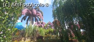 [P35] MIRACLE GARDEN - o grădină ruptă din Rai! » foto by elenaadina
 - 
<span class="allrVoted glyphicon glyphicon-heart hidden" id="av1415102"></span>
<a class="m-l-10 hidden" id="sv1415102" onclick="voting_Foto_DelVot(,1415102,28974)" role="button">șterge vot <span class="glyphicon glyphicon-remove"></span></a>
<a id="v91415102" class=" c-red"  onclick="voting_Foto_SetVot(1415102)" role="button"><span class="glyphicon glyphicon-heart-empty"></span> <b>LIKE</b> = Votează poza</a> <img class="hidden"  id="f1415102W9" src="/imagini/loader.gif" border="0" /><span class="AjErrMes hidden" id="e1415102ErM"></span>