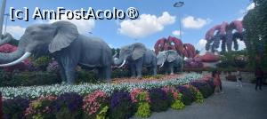 [P36] MIRACLE GARDEN - o grădină ruptă din Rai! » foto by elenaadina
 - 
<span class="allrVoted glyphicon glyphicon-heart hidden" id="av1415103"></span>
<a class="m-l-10 hidden" id="sv1415103" onclick="voting_Foto_DelVot(,1415103,28974)" role="button">șterge vot <span class="glyphicon glyphicon-remove"></span></a>
<a id="v91415103" class=" c-red"  onclick="voting_Foto_SetVot(1415103)" role="button"><span class="glyphicon glyphicon-heart-empty"></span> <b>LIKE</b> = Votează poza</a> <img class="hidden"  id="f1415103W9" src="/imagini/loader.gif" border="0" /><span class="AjErrMes hidden" id="e1415103ErM"></span>