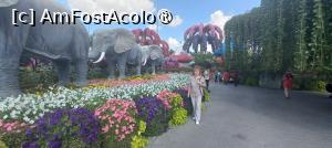 [P37] MIRACLE GARDEN - o grădină ruptă din Rai! » foto by elenaadina
 - 
<span class="allrVoted glyphicon glyphicon-heart hidden" id="av1415104"></span>
<a class="m-l-10 hidden" id="sv1415104" onclick="voting_Foto_DelVot(,1415104,28974)" role="button">șterge vot <span class="glyphicon glyphicon-remove"></span></a>
<a id="v91415104" class=" c-red"  onclick="voting_Foto_SetVot(1415104)" role="button"><span class="glyphicon glyphicon-heart-empty"></span> <b>LIKE</b> = Votează poza</a> <img class="hidden"  id="f1415104W9" src="/imagini/loader.gif" border="0" /><span class="AjErrMes hidden" id="e1415104ErM"></span>