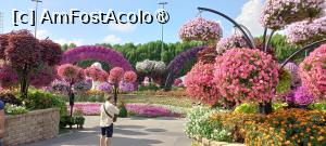[P39] MIRACLE GARDEN - o grădină ruptă din Rai! » foto by elenaadina
 - 
<span class="allrVoted glyphicon glyphicon-heart hidden" id="av1415106"></span>
<a class="m-l-10 hidden" id="sv1415106" onclick="voting_Foto_DelVot(,1415106,28974)" role="button">șterge vot <span class="glyphicon glyphicon-remove"></span></a>
<a id="v91415106" class=" c-red"  onclick="voting_Foto_SetVot(1415106)" role="button"><span class="glyphicon glyphicon-heart-empty"></span> <b>LIKE</b> = Votează poza</a> <img class="hidden"  id="f1415106W9" src="/imagini/loader.gif" border="0" /><span class="AjErrMes hidden" id="e1415106ErM"></span>
