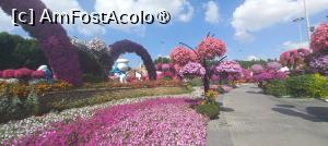 [P44] MIRACLE GARDEN - o grădină ruptă din Rai! » foto by elenaadina
 - 
<span class="allrVoted glyphicon glyphicon-heart hidden" id="av1415111"></span>
<a class="m-l-10 hidden" id="sv1415111" onclick="voting_Foto_DelVot(,1415111,28974)" role="button">șterge vot <span class="glyphicon glyphicon-remove"></span></a>
<a id="v91415111" class=" c-red"  onclick="voting_Foto_SetVot(1415111)" role="button"><span class="glyphicon glyphicon-heart-empty"></span> <b>LIKE</b> = Votează poza</a> <img class="hidden"  id="f1415111W9" src="/imagini/loader.gif" border="0" /><span class="AjErrMes hidden" id="e1415111ErM"></span>