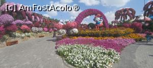 [P47] MIRACLE GARDEN - o grădină ruptă din Rai! » foto by elenaadina
 - 
<span class="allrVoted glyphicon glyphicon-heart hidden" id="av1415114"></span>
<a class="m-l-10 hidden" id="sv1415114" onclick="voting_Foto_DelVot(,1415114,28974)" role="button">șterge vot <span class="glyphicon glyphicon-remove"></span></a>
<a id="v91415114" class=" c-red"  onclick="voting_Foto_SetVot(1415114)" role="button"><span class="glyphicon glyphicon-heart-empty"></span> <b>LIKE</b> = Votează poza</a> <img class="hidden"  id="f1415114W9" src="/imagini/loader.gif" border="0" /><span class="AjErrMes hidden" id="e1415114ErM"></span>