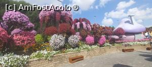 [P48] MIRACLE GARDEN - o grădină ruptă din Rai! » foto by elenaadina
 - 
<span class="allrVoted glyphicon glyphicon-heart hidden" id="av1415115"></span>
<a class="m-l-10 hidden" id="sv1415115" onclick="voting_Foto_DelVot(,1415115,28974)" role="button">șterge vot <span class="glyphicon glyphicon-remove"></span></a>
<a id="v91415115" class=" c-red"  onclick="voting_Foto_SetVot(1415115)" role="button"><span class="glyphicon glyphicon-heart-empty"></span> <b>LIKE</b> = Votează poza</a> <img class="hidden"  id="f1415115W9" src="/imagini/loader.gif" border="0" /><span class="AjErrMes hidden" id="e1415115ErM"></span>