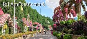 [P05] MIRACLE GARDEN - o grădină ruptă din Rai! » foto by elenaadina
 - 
<span class="allrVoted glyphicon glyphicon-heart hidden" id="av1415072"></span>
<a class="m-l-10 hidden" id="sv1415072" onclick="voting_Foto_DelVot(,1415072,28974)" role="button">șterge vot <span class="glyphicon glyphicon-remove"></span></a>
<a id="v91415072" class=" c-red"  onclick="voting_Foto_SetVot(1415072)" role="button"><span class="glyphicon glyphicon-heart-empty"></span> <b>LIKE</b> = Votează poza</a> <img class="hidden"  id="f1415072W9" src="/imagini/loader.gif" border="0" /><span class="AjErrMes hidden" id="e1415072ErM"></span>