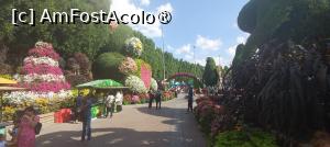 [P53] MIRACLE GARDEN - o grădină ruptă din Rai! » foto by elenaadina
 - 
<span class="allrVoted glyphicon glyphicon-heart hidden" id="av1415120"></span>
<a class="m-l-10 hidden" id="sv1415120" onclick="voting_Foto_DelVot(,1415120,28974)" role="button">șterge vot <span class="glyphicon glyphicon-remove"></span></a>
<a id="v91415120" class=" c-red"  onclick="voting_Foto_SetVot(1415120)" role="button"><span class="glyphicon glyphicon-heart-empty"></span> <b>LIKE</b> = Votează poza</a> <img class="hidden"  id="f1415120W9" src="/imagini/loader.gif" border="0" /><span class="AjErrMes hidden" id="e1415120ErM"></span>
