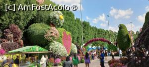 [P55] MIRACLE GARDEN - o grădină ruptă din Rai! » foto by elenaadina
 - 
<span class="allrVoted glyphicon glyphicon-heart hidden" id="av1415122"></span>
<a class="m-l-10 hidden" id="sv1415122" onclick="voting_Foto_DelVot(,1415122,28974)" role="button">șterge vot <span class="glyphicon glyphicon-remove"></span></a>
<a id="v91415122" class=" c-red"  onclick="voting_Foto_SetVot(1415122)" role="button"><span class="glyphicon glyphicon-heart-empty"></span> <b>LIKE</b> = Votează poza</a> <img class="hidden"  id="f1415122W9" src="/imagini/loader.gif" border="0" /><span class="AjErrMes hidden" id="e1415122ErM"></span>