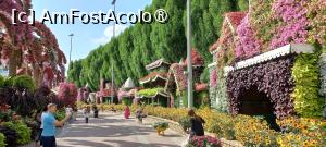 [P59] MIRACLE GARDEN - o grădină ruptă din Rai! » foto by elenaadina
 - 
<span class="allrVoted glyphicon glyphicon-heart hidden" id="av1415126"></span>
<a class="m-l-10 hidden" id="sv1415126" onclick="voting_Foto_DelVot(,1415126,28974)" role="button">șterge vot <span class="glyphicon glyphicon-remove"></span></a>
<a id="v91415126" class=" c-red"  onclick="voting_Foto_SetVot(1415126)" role="button"><span class="glyphicon glyphicon-heart-empty"></span> <b>LIKE</b> = Votează poza</a> <img class="hidden"  id="f1415126W9" src="/imagini/loader.gif" border="0" /><span class="AjErrMes hidden" id="e1415126ErM"></span>