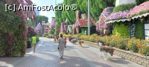 [P62] MIRACLE GARDEN - o grădină ruptă din Rai! » foto by elenaadina
 - 
<span class="allrVoted glyphicon glyphicon-heart hidden" id="av1415129"></span>
<a class="m-l-10 hidden" id="sv1415129" onclick="voting_Foto_DelVot(,1415129,28974)" role="button">șterge vot <span class="glyphicon glyphicon-remove"></span></a>
<a id="v91415129" class=" c-red"  onclick="voting_Foto_SetVot(1415129)" role="button"><span class="glyphicon glyphicon-heart-empty"></span> <b>LIKE</b> = Votează poza</a> <img class="hidden"  id="f1415129W9" src="/imagini/loader.gif" border="0" /><span class="AjErrMes hidden" id="e1415129ErM"></span>