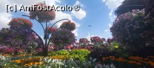 [P65] MIRACLE GARDEN - o grădină ruptă din Rai! » foto by elenaadina
 - 
<span class="allrVoted glyphicon glyphicon-heart hidden" id="av1415132"></span>
<a class="m-l-10 hidden" id="sv1415132" onclick="voting_Foto_DelVot(,1415132,28974)" role="button">șterge vot <span class="glyphicon glyphicon-remove"></span></a>
<a id="v91415132" class=" c-red"  onclick="voting_Foto_SetVot(1415132)" role="button"><span class="glyphicon glyphicon-heart-empty"></span> <b>LIKE</b> = Votează poza</a> <img class="hidden"  id="f1415132W9" src="/imagini/loader.gif" border="0" /><span class="AjErrMes hidden" id="e1415132ErM"></span>