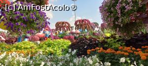 [P66] MIRACLE GARDEN - o grădină ruptă din Rai! » foto by elenaadina
 - 
<span class="allrVoted glyphicon glyphicon-heart hidden" id="av1415133"></span>
<a class="m-l-10 hidden" id="sv1415133" onclick="voting_Foto_DelVot(,1415133,28974)" role="button">șterge vot <span class="glyphicon glyphicon-remove"></span></a>
<a id="v91415133" class=" c-red"  onclick="voting_Foto_SetVot(1415133)" role="button"><span class="glyphicon glyphicon-heart-empty"></span> <b>LIKE</b> = Votează poza</a> <img class="hidden"  id="f1415133W9" src="/imagini/loader.gif" border="0" /><span class="AjErrMes hidden" id="e1415133ErM"></span>