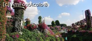 [P71] MIRACLE GARDEN - o grădină ruptă din Rai! » foto by elenaadina
 - 
<span class="allrVoted glyphicon glyphicon-heart hidden" id="av1415138"></span>
<a class="m-l-10 hidden" id="sv1415138" onclick="voting_Foto_DelVot(,1415138,28974)" role="button">șterge vot <span class="glyphicon glyphicon-remove"></span></a>
<a id="v91415138" class=" c-red"  onclick="voting_Foto_SetVot(1415138)" role="button"><span class="glyphicon glyphicon-heart-empty"></span> <b>LIKE</b> = Votează poza</a> <img class="hidden"  id="f1415138W9" src="/imagini/loader.gif" border="0" /><span class="AjErrMes hidden" id="e1415138ErM"></span>