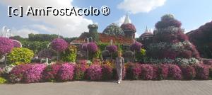 [P08] MIRACLE GARDEN - o grădină ruptă din Rai! » foto by elenaadina
 - 
<span class="allrVoted glyphicon glyphicon-heart hidden" id="av1415075"></span>
<a class="m-l-10 hidden" id="sv1415075" onclick="voting_Foto_DelVot(,1415075,28974)" role="button">șterge vot <span class="glyphicon glyphicon-remove"></span></a>
<a id="v91415075" class=" c-red"  onclick="voting_Foto_SetVot(1415075)" role="button"><span class="glyphicon glyphicon-heart-empty"></span> <b>LIKE</b> = Votează poza</a> <img class="hidden"  id="f1415075W9" src="/imagini/loader.gif" border="0" /><span class="AjErrMes hidden" id="e1415075ErM"></span>