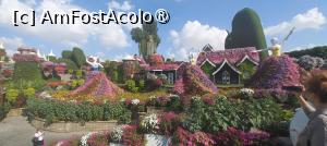 [P82] MIRACLE GARDEN - o grădină ruptă din Rai! » foto by elenaadina
 - 
<span class="allrVoted glyphicon glyphicon-heart hidden" id="av1415149"></span>
<a class="m-l-10 hidden" id="sv1415149" onclick="voting_Foto_DelVot(,1415149,28974)" role="button">șterge vot <span class="glyphicon glyphicon-remove"></span></a>
<a id="v91415149" class=" c-red"  onclick="voting_Foto_SetVot(1415149)" role="button"><span class="glyphicon glyphicon-heart-empty"></span> <b>LIKE</b> = Votează poza</a> <img class="hidden"  id="f1415149W9" src="/imagini/loader.gif" border="0" /><span class="AjErrMes hidden" id="e1415149ErM"></span>