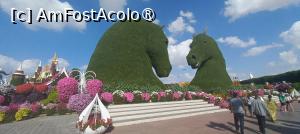 [P85] MIRACLE GARDEN - o grădină ruptă din Rai! » foto by elenaadina
 - 
<span class="allrVoted glyphicon glyphicon-heart hidden" id="av1415152"></span>
<a class="m-l-10 hidden" id="sv1415152" onclick="voting_Foto_DelVot(,1415152,28974)" role="button">șterge vot <span class="glyphicon glyphicon-remove"></span></a>
<a id="v91415152" class=" c-red"  onclick="voting_Foto_SetVot(1415152)" role="button"><span class="glyphicon glyphicon-heart-empty"></span> <b>LIKE</b> = Votează poza</a> <img class="hidden"  id="f1415152W9" src="/imagini/loader.gif" border="0" /><span class="AjErrMes hidden" id="e1415152ErM"></span>