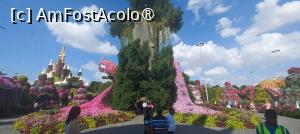[P88] MIRACLE GARDEN - o grădină ruptă din Rai! » foto by elenaadina
 - 
<span class="allrVoted glyphicon glyphicon-heart hidden" id="av1415155"></span>
<a class="m-l-10 hidden" id="sv1415155" onclick="voting_Foto_DelVot(,1415155,28974)" role="button">șterge vot <span class="glyphicon glyphicon-remove"></span></a>
<a id="v91415155" class=" c-red"  onclick="voting_Foto_SetVot(1415155)" role="button"><span class="glyphicon glyphicon-heart-empty"></span> <b>LIKE</b> = Votează poza</a> <img class="hidden"  id="f1415155W9" src="/imagini/loader.gif" border="0" /><span class="AjErrMes hidden" id="e1415155ErM"></span>