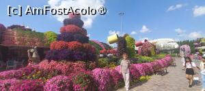 [P09] MIRACLE GARDEN - o grădină ruptă din Rai! » foto by elenaadina
 - 
<span class="allrVoted glyphicon glyphicon-heart hidden" id="av1415076"></span>
<a class="m-l-10 hidden" id="sv1415076" onclick="voting_Foto_DelVot(,1415076,28974)" role="button">șterge vot <span class="glyphicon glyphicon-remove"></span></a>
<a id="v91415076" class=" c-red"  onclick="voting_Foto_SetVot(1415076)" role="button"><span class="glyphicon glyphicon-heart-empty"></span> <b>LIKE</b> = Votează poza</a> <img class="hidden"  id="f1415076W9" src="/imagini/loader.gif" border="0" /><span class="AjErrMes hidden" id="e1415076ErM"></span>