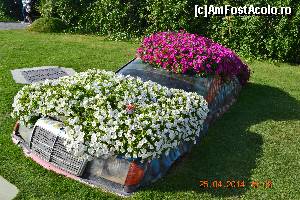 [P02]  -- <small>// FĂRĂ DESCRIERE</small> » foto by Coman Bianca
 - 
<span class="allrVoted glyphicon glyphicon-heart hidden" id="av557278"></span>
<a class="m-l-10 hidden" id="sv557278" onclick="voting_Foto_DelVot(,557278,28974)" role="button">șterge vot <span class="glyphicon glyphicon-remove"></span></a>
<a id="v9557278" class=" c-red"  onclick="voting_Foto_SetVot(557278)" role="button"><span class="glyphicon glyphicon-heart-empty"></span> <b>LIKE</b> = Votează poza</a> <img class="hidden"  id="f557278W9" src="/imagini/loader.gif" border="0" /><span class="AjErrMes hidden" id="e557278ErM"></span>