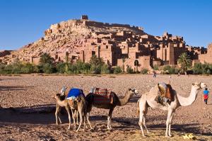 [P30] Ait Ben Haddou » foto by adso <span class="label label-default labelC_thin small">NEVOTABILĂ</span>