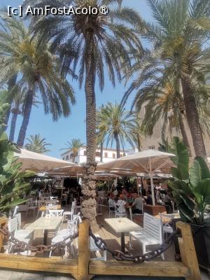 [P02] O cafenea in aer liber, mesele sunt asezate printre palmieri » foto by dorgo
 - 
<span class="allrVoted glyphicon glyphicon-heart hidden" id="av1504489"></span>
<a class="m-l-10 hidden" id="sv1504489" onclick="voting_Foto_DelVot(,1504489,29017)" role="button">șterge vot <span class="glyphicon glyphicon-remove"></span></a>
<a id="v91504489" class=" c-red"  onclick="voting_Foto_SetVot(1504489)" role="button"><span class="glyphicon glyphicon-heart-empty"></span> <b>LIKE</b> = Votează poza</a> <img class="hidden"  id="f1504489W9" src="/imagini/loader.gif" border="0" /><span class="AjErrMes hidden" id="e1504489ErM"></span>