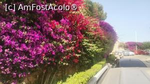 [P04] Urcam spre cetate, pe langa tufe de leandrii » foto by dorgo
 - 
<span class="allrVoted glyphicon glyphicon-heart hidden" id="av1504491"></span>
<a class="m-l-10 hidden" id="sv1504491" onclick="voting_Foto_DelVot(,1504491,29017)" role="button">șterge vot <span class="glyphicon glyphicon-remove"></span></a>
<a id="v91504491" class=" c-red"  onclick="voting_Foto_SetVot(1504491)" role="button"><span class="glyphicon glyphicon-heart-empty"></span> <b>LIKE</b> = Votează poza</a> <img class="hidden"  id="f1504491W9" src="/imagini/loader.gif" border="0" /><span class="AjErrMes hidden" id="e1504491ErM"></span>