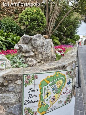 [P10] Mijas - pe ruta botanică » foto by ANILU
 - 
<span class="allrVoted glyphicon glyphicon-heart hidden" id="av1486619"></span>
<a class="m-l-10 hidden" id="sv1486619" onclick="voting_Foto_DelVot(,1486619,29019)" role="button">șterge vot <span class="glyphicon glyphicon-remove"></span></a>
<a id="v91486619" class=" c-red"  onclick="voting_Foto_SetVot(1486619)" role="button"><span class="glyphicon glyphicon-heart-empty"></span> <b>LIKE</b> = Votează poza</a> <img class="hidden"  id="f1486619W9" src="/imagini/loader.gif" border="0" /><span class="AjErrMes hidden" id="e1486619ErM"></span>