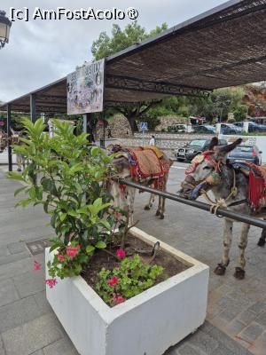 [P02] Mijas - măgărușii așteaptă clienți » foto by ANILU
 - 
<span class="allrVoted glyphicon glyphicon-heart hidden" id="av1486611"></span>
<a class="m-l-10 hidden" id="sv1486611" onclick="voting_Foto_DelVot(,1486611,29019)" role="button">șterge vot <span class="glyphicon glyphicon-remove"></span></a>
<a id="v91486611" class=" c-red"  onclick="voting_Foto_SetVot(1486611)" role="button"><span class="glyphicon glyphicon-heart-empty"></span> <b>LIKE</b> = Votează poza</a> <img class="hidden"  id="f1486611W9" src="/imagini/loader.gif" border="0" /><span class="AjErrMes hidden" id="e1486611ErM"></span>