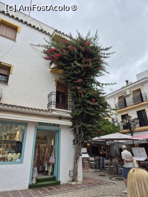 [P32] Marbella - prin centrul vechi » foto by ANILU
 - 
<span class="allrVoted glyphicon glyphicon-heart hidden" id="av1486641"></span>
<a class="m-l-10 hidden" id="sv1486641" onclick="voting_Foto_DelVot(,1486641,29019)" role="button">șterge vot <span class="glyphicon glyphicon-remove"></span></a>
<a id="v91486641" class=" c-red"  onclick="voting_Foto_SetVot(1486641)" role="button"><span class="glyphicon glyphicon-heart-empty"></span> <b>LIKE</b> = Votează poza</a> <img class="hidden"  id="f1486641W9" src="/imagini/loader.gif" border="0" /><span class="AjErrMes hidden" id="e1486641ErM"></span>