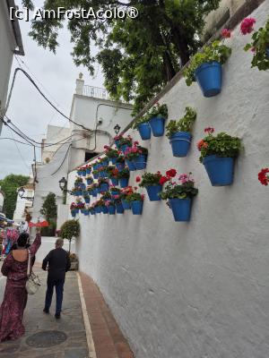 [P37] Marbella - prin centrul vechi » foto by ANILU
 - 
<span class="allrVoted glyphicon glyphicon-heart hidden" id="av1486647"></span>
<a class="m-l-10 hidden" id="sv1486647" onclick="voting_Foto_DelVot(,1486647,29019)" role="button">șterge vot <span class="glyphicon glyphicon-remove"></span></a>
<a id="v91486647" class=" c-red"  onclick="voting_Foto_SetVot(1486647)" role="button"><span class="glyphicon glyphicon-heart-empty"></span> <b>LIKE</b> = Votează poza</a> <img class="hidden"  id="f1486647W9" src="/imagini/loader.gif" border="0" /><span class="AjErrMes hidden" id="e1486647ErM"></span>