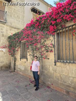 [P27] Malaga - prin centrul istoric » foto by ANILU
 - 
<span class="allrVoted glyphicon glyphicon-heart hidden" id="av1489941"></span>
<a class="m-l-10 hidden" id="sv1489941" onclick="voting_Foto_DelVot(,1489941,29019)" role="button">șterge vot <span class="glyphicon glyphicon-remove"></span></a>
<a id="v91489941" class=" c-red"  onclick="voting_Foto_SetVot(1489941)" role="button"><span class="glyphicon glyphicon-heart-empty"></span> <b>LIKE</b> = Votează poza</a> <img class="hidden"  id="f1489941W9" src="/imagini/loader.gif" border="0" /><span class="AjErrMes hidden" id="e1489941ErM"></span>