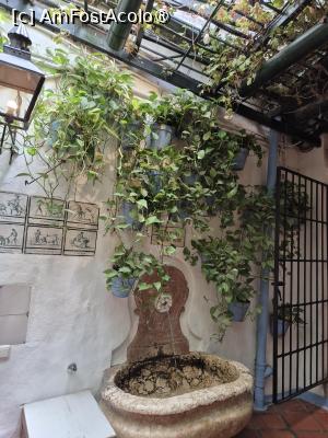[P38] Malaga - prin bodeba El Pimpi » foto by ANILU
 - 
<span class="allrVoted glyphicon glyphicon-heart hidden" id="av1489952"></span>
<a class="m-l-10 hidden" id="sv1489952" onclick="voting_Foto_DelVot(,1489952,29019)" role="button">șterge vot <span class="glyphicon glyphicon-remove"></span></a>
<a id="v91489952" class=" c-red"  onclick="voting_Foto_SetVot(1489952)" role="button"><span class="glyphicon glyphicon-heart-empty"></span> <b>LIKE</b> = Votează poza</a> <img class="hidden"  id="f1489952W9" src="/imagini/loader.gif" border="0" /><span class="AjErrMes hidden" id="e1489952ErM"></span>