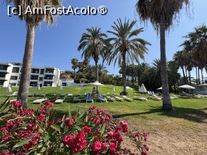 [P37] Ascos Coral Beach Hotel,plaja » foto by AZE
 - 
<span class="allrVoted glyphicon glyphicon-heart hidden" id="av1489162"></span>
<a class="m-l-10 hidden" id="sv1489162" onclick="voting_Foto_DelVot(,1489162,29044)" role="button">șterge vot <span class="glyphicon glyphicon-remove"></span></a>
<a id="v91489162" class=" c-red"  onclick="voting_Foto_SetVot(1489162)" role="button"><span class="glyphicon glyphicon-heart-empty"></span> <b>LIKE</b> = Votează poza</a> <img class="hidden"  id="f1489162W9" src="/imagini/loader.gif" border="0" /><span class="AjErrMes hidden" id="e1489162ErM"></span>