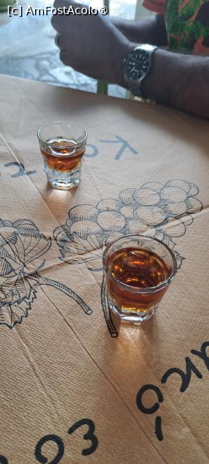 [P43] Taverna Kastanis, psimeni raki din partea casei » foto by irinad
 - 
<span class="allrVoted glyphicon glyphicon-heart hidden" id="av1496426"></span>
<a class="m-l-10 hidden" id="sv1496426" onclick="voting_Foto_DelVot(,1496426,29045)" role="button">șterge vot <span class="glyphicon glyphicon-remove"></span></a>
<a id="v91496426" class=" c-red"  onclick="voting_Foto_SetVot(1496426)" role="button"><span class="glyphicon glyphicon-heart-empty"></span> <b>LIKE</b> = Votează poza</a> <img class="hidden"  id="f1496426W9" src="/imagini/loader.gif" border="0" /><span class="AjErrMes hidden" id="e1496426ErM"></span>
