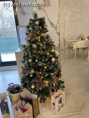 [P24] Hotel Alexandra Mamaia - bradul din restaurant » foto by nicole33
 - 
<span class="allrVoted glyphicon glyphicon-heart hidden" id="av1513044"></span>
<a class="m-l-10 hidden" id="sv1513044" onclick="voting_Foto_DelVot(,1513044,29052)" role="button">șterge vot <span class="glyphicon glyphicon-remove"></span></a>
<a id="v91513044" class=" c-red"  onclick="voting_Foto_SetVot(1513044)" role="button"><span class="glyphicon glyphicon-heart-empty"></span> <b>LIKE</b> = Votează poza</a> <img class="hidden"  id="f1513044W9" src="/imagini/loader.gif" border="0" /><span class="AjErrMes hidden" id="e1513044ErM"></span>