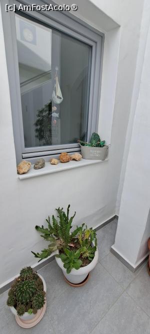 [P42] O fereastră frumoasă a hotelului » foto by irinad
 - 
<span class="allrVoted glyphicon glyphicon-heart hidden" id="av1490502"></span>
<a class="m-l-10 hidden" id="sv1490502" onclick="voting_Foto_DelVot(,1490502,29054)" role="button">șterge vot <span class="glyphicon glyphicon-remove"></span></a>
<a id="v91490502" class=" c-red"  onclick="voting_Foto_SetVot(1490502)" role="button"><span class="glyphicon glyphicon-heart-empty"></span> <b>LIKE</b> = Votează poza</a> <img class="hidden"  id="f1490502W9" src="/imagini/loader.gif" border="0" /><span class="AjErrMes hidden" id="e1490502ErM"></span>