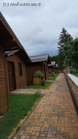 [P21] Aleea către cabane » foto by laura mihaela
 - 
<span class="allrVoted glyphicon glyphicon-heart hidden" id="av1490903"></span>
<a class="m-l-10 hidden" id="sv1490903" onclick="voting_Foto_DelVot(,1490903,29056)" role="button">șterge vot <span class="glyphicon glyphicon-remove"></span></a>
<a id="v91490903" class=" c-red"  onclick="voting_Foto_SetVot(1490903)" role="button"><span class="glyphicon glyphicon-heart-empty"></span> <b>LIKE</b> = Votează poza</a> <img class="hidden"  id="f1490903W9" src="/imagini/loader.gif" border="0" /><span class="AjErrMes hidden" id="e1490903ErM"></span>