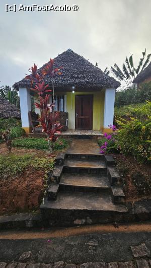 [P06] bungalow-ul nostru » foto by robert
 - 
<span class="allrVoted glyphicon glyphicon-heart hidden" id="av1491127"></span>
<a class="m-l-10 hidden" id="sv1491127" onclick="voting_Foto_DelVot(,1491127,29057)" role="button">șterge vot <span class="glyphicon glyphicon-remove"></span></a>
<a id="v91491127" class=" c-red"  onclick="voting_Foto_SetVot(1491127)" role="button"><span class="glyphicon glyphicon-heart-empty"></span> <b>LIKE</b> = Votează poza</a> <img class="hidden"  id="f1491127W9" src="/imagini/loader.gif" border="0" /><span class="AjErrMes hidden" id="e1491127ErM"></span>