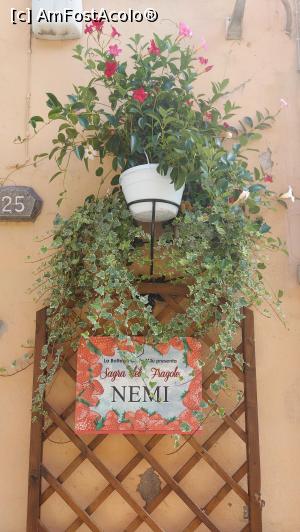 [P12] Nemi - decor... » foto by ANILU
 - 
<span class="allrVoted glyphicon glyphicon-heart hidden" id="av1329264"></span>
<a class="m-l-10 hidden" id="sv1329264" onclick="voting_Foto_DelVot(,1329264,29060)" role="button">șterge vot <span class="glyphicon glyphicon-remove"></span></a>
<a id="v91329264" class=" c-red"  onclick="voting_Foto_SetVot(1329264)" role="button"><span class="glyphicon glyphicon-heart-empty"></span> <b>LIKE</b> = Votează poza</a> <img class="hidden"  id="f1329264W9" src="/imagini/loader.gif" border="0" /><span class="AjErrMes hidden" id="e1329264ErM"></span>