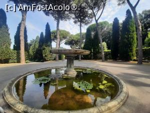 [P22] Villa Barberini » foto by adso
 - 
<span class="allrVoted glyphicon glyphicon-heart hidden" id="av1491966"></span>
<a class="m-l-10 hidden" id="sv1491966" onclick="voting_Foto_DelVot(,1491966,29060)" role="button">șterge vot <span class="glyphicon glyphicon-remove"></span></a>
<a id="v91491966" class=" c-red"  onclick="voting_Foto_SetVot(1491966)" role="button"><span class="glyphicon glyphicon-heart-empty"></span> <b>LIKE</b> = Votează poza</a> <img class="hidden"  id="f1491966W9" src="/imagini/loader.gif" border="0" /><span class="AjErrMes hidden" id="e1491966ErM"></span>