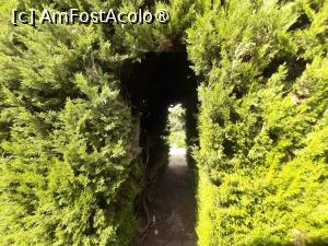 [P33] Villa Barberini » foto by adso
 - 
<span class="allrVoted glyphicon glyphicon-heart hidden" id="av1491977"></span>
<a class="m-l-10 hidden" id="sv1491977" onclick="voting_Foto_DelVot(,1491977,29060)" role="button">șterge vot <span class="glyphicon glyphicon-remove"></span></a>
<a id="v91491977" class=" c-red"  onclick="voting_Foto_SetVot(1491977)" role="button"><span class="glyphicon glyphicon-heart-empty"></span> <b>LIKE</b> = Votează poza</a> <img class="hidden"  id="f1491977W9" src="/imagini/loader.gif" border="0" /><span class="AjErrMes hidden" id="e1491977ErM"></span>