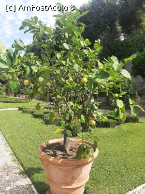 [P37] Villa Barberini » foto by adso
 - 
<span class="allrVoted glyphicon glyphicon-heart hidden" id="av1491981"></span>
<a class="m-l-10 hidden" id="sv1491981" onclick="voting_Foto_DelVot(,1491981,29060)" role="button">șterge vot <span class="glyphicon glyphicon-remove"></span></a>
<a id="v91491981" class=" c-red"  onclick="voting_Foto_SetVot(1491981)" role="button"><span class="glyphicon glyphicon-heart-empty"></span> <b>LIKE</b> = Votează poza</a> <img class="hidden"  id="f1491981W9" src="/imagini/loader.gif" border="0" /><span class="AjErrMes hidden" id="e1491981ErM"></span>