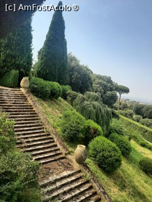 [P41] Villa Barberini » foto by adso
 - 
<span class="allrVoted glyphicon glyphicon-heart hidden" id="av1491985"></span>
<a class="m-l-10 hidden" id="sv1491985" onclick="voting_Foto_DelVot(,1491985,29060)" role="button">șterge vot <span class="glyphicon glyphicon-remove"></span></a>
<a id="v91491985" class=" c-red"  onclick="voting_Foto_SetVot(1491985)" role="button"><span class="glyphicon glyphicon-heart-empty"></span> <b>LIKE</b> = Votează poza</a> <img class="hidden"  id="f1491985W9" src="/imagini/loader.gif" border="0" /><span class="AjErrMes hidden" id="e1491985ErM"></span>