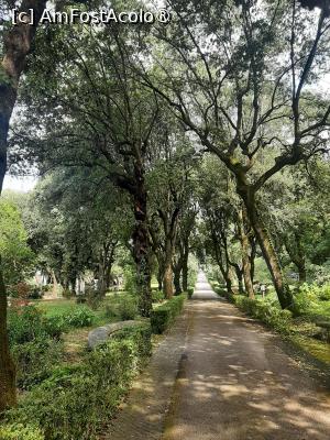 [P66] Villa Barberini » foto by adso
 - 
<span class="allrVoted glyphicon glyphicon-heart hidden" id="av1492010"></span>
<a class="m-l-10 hidden" id="sv1492010" onclick="voting_Foto_DelVot(,1492010,29060)" role="button">șterge vot <span class="glyphicon glyphicon-remove"></span></a>
<a id="v91492010" class=" c-red"  onclick="voting_Foto_SetVot(1492010)" role="button"><span class="glyphicon glyphicon-heart-empty"></span> <b>LIKE</b> = Votează poza</a> <img class="hidden"  id="f1492010W9" src="/imagini/loader.gif" border="0" /><span class="AjErrMes hidden" id="e1492010ErM"></span>