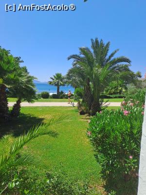 [P03] Curtea interioara-vedere spre mare. » foto by lau22
 - 
<span class="allrVoted glyphicon glyphicon-heart hidden" id="av1491471"></span>
<a class="m-l-10 hidden" id="sv1491471" onclick="voting_Foto_DelVot(,1491471,29062)" role="button">șterge vot <span class="glyphicon glyphicon-remove"></span></a>
<a id="v91491471" class=" c-red"  onclick="voting_Foto_SetVot(1491471)" role="button"><span class="glyphicon glyphicon-heart-empty"></span> <b>LIKE</b> = Votează poza</a> <img class="hidden"  id="f1491471W9" src="/imagini/loader.gif" border="0" /><span class="AjErrMes hidden" id="e1491471ErM"></span>